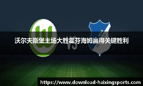 沃尔夫斯堡主场大胜霍芬海姆赢得关键胜利