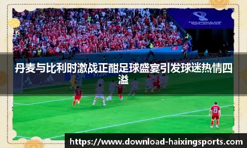 丹麦与比利时激战正酣足球盛宴引发球迷热情四溢