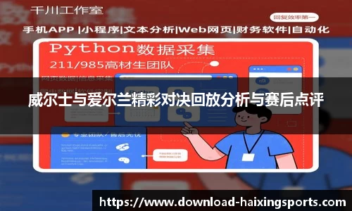 威尔士与爱尔兰精彩对决回放分析与赛后点评